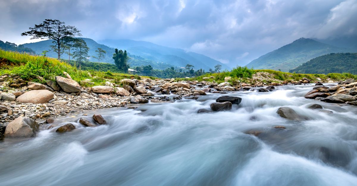 Niveau d'eau & débit