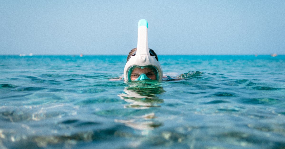 Snorkeling pour débuter