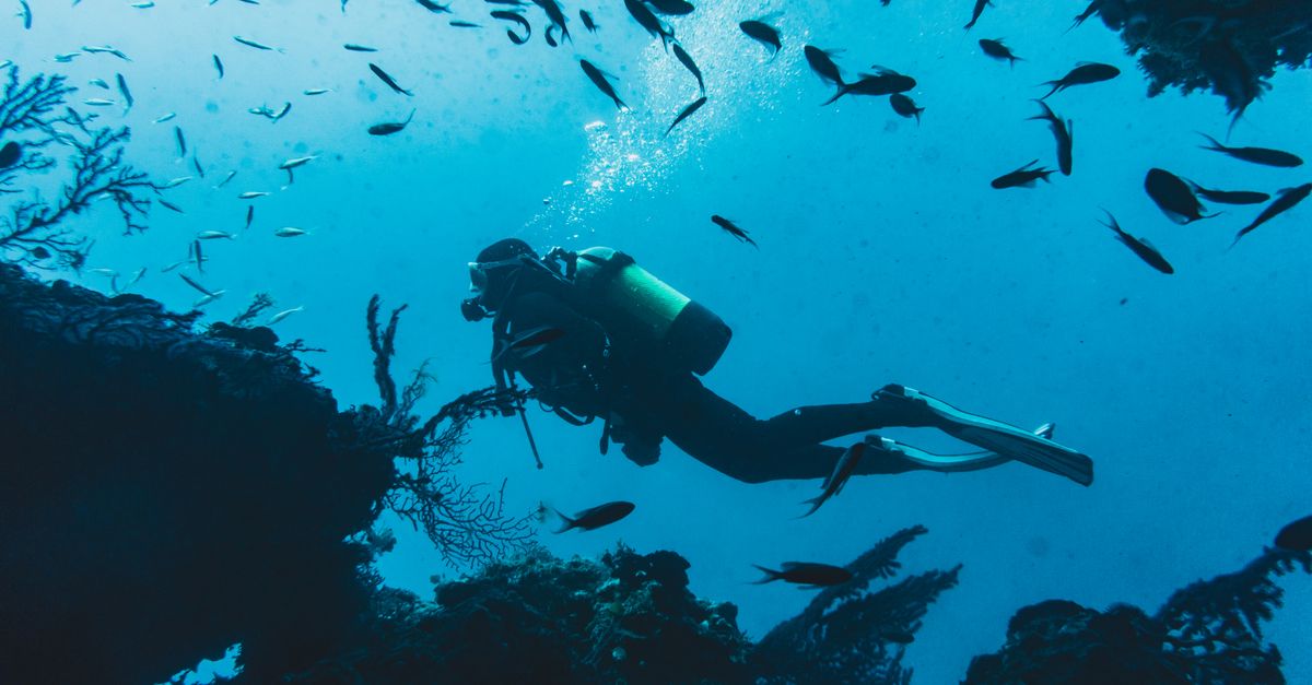 Snorkeling ou plongée